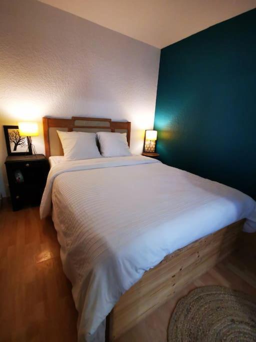 Appartement Nid Douillet A Quelques Pas De La Gare. à Carcassonne Extérieur photo